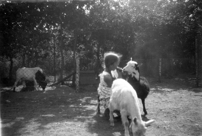 805434 Afbeelding van de jonge Mary Balfour van Burleigh bij enkele geiten in Ouwehands Dierenpark aan de Grebbeweg te ...